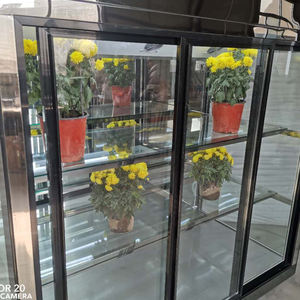 Холодильники для цветов в Гороховце